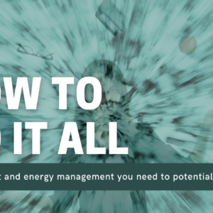 1-on-1 coaching with potentializer Anne Trager